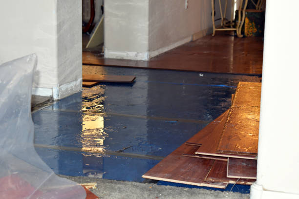 Professional Water Extraction technician working in Camden, MO